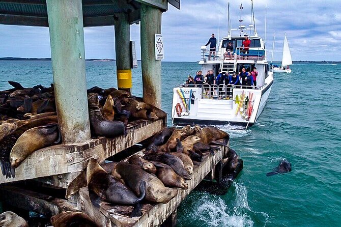 1.5hour Scenic and Wildlife luxury cruise - Key points to know before boarding