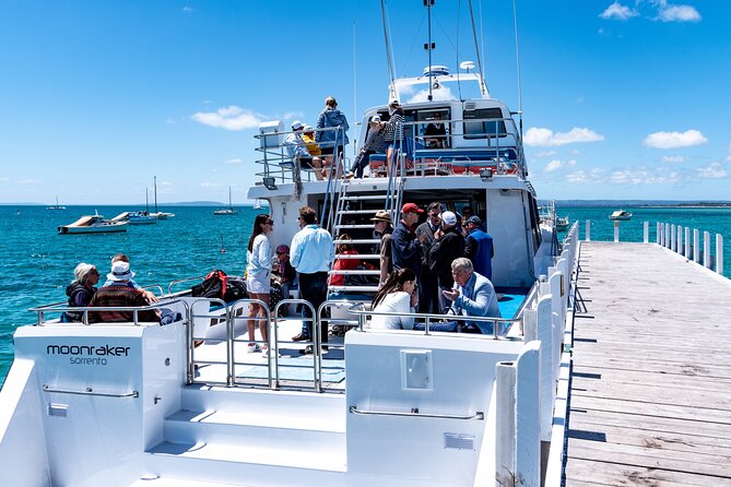 1.5hour Scenic and Wildlife luxury cruise - The gannets and seabird colony