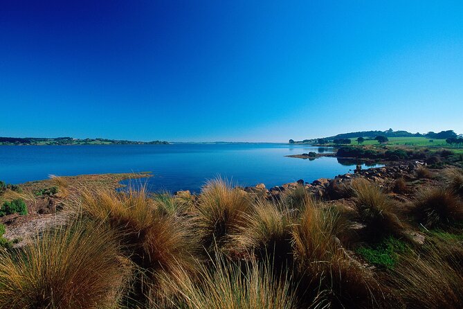 1 Day Exclusively Private Tour Of Phillip Island & The Penguin Parade - The Nobbies, Pyramid Rock, and Flynns Beach
