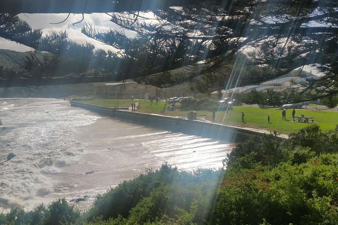 12 Apostles and Otway Fly Zipline Day Trip from Melbourne - Why this Great Ocean Road day trip feels different