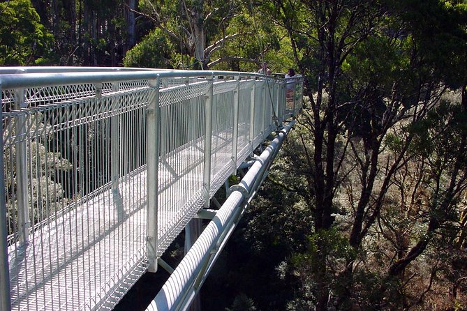 12 Apostles and Otway Fly Zipline Day Trip from Melbourne - Lunch at Yatzies is your own expense
