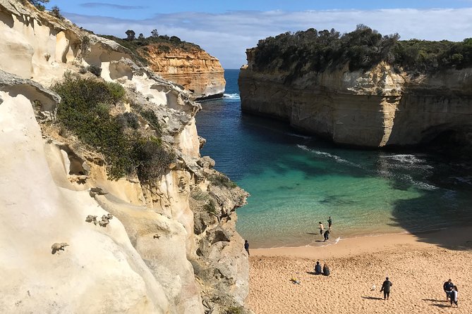 12 Apostles and Shipwreck Coast Express Private Tour - Is $471.21 per person good value?