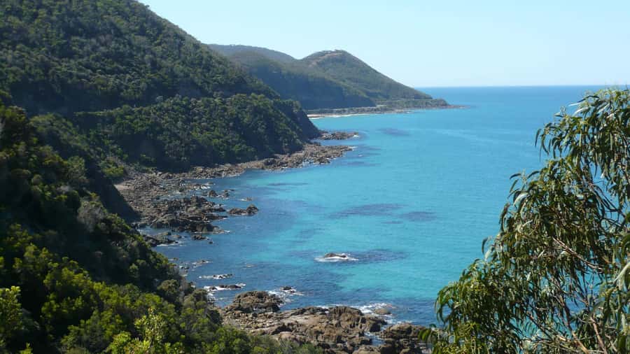 2 Day Great Ocean Road Small Group Tour - Lorne gives you a proper lunch break