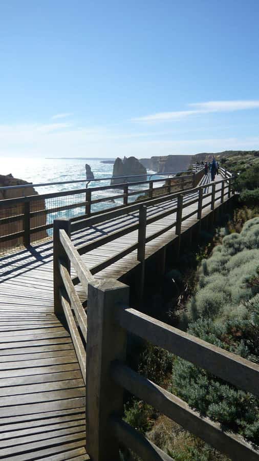2 Day Great Ocean Road Small Group Tour - Otway rainforest before the Shipwreck Coast