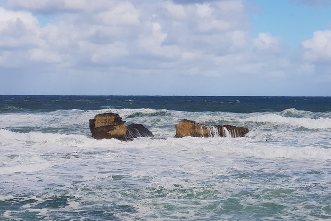 2 Day Great Ocean Road Tour and Platypus paddle - Koalas at Kennett River and Lorne Beach