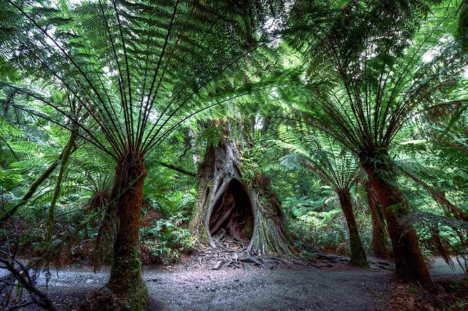2-Day Melbourne to Adelaide Tour via Great Ocean Road Grampians - Loch Ard Gorge tells the coast’s darker story