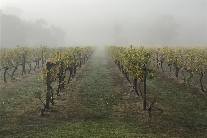 2-Day Yarra Valley Wine Tour with Luxury Vineyard Resort Stay - Is $466.21 a fair price?