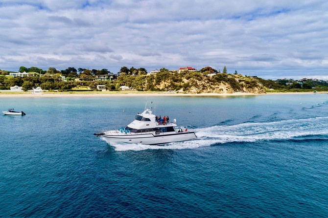 3-Hour Dolphin and Seal Sightseeing Cruise, operated with swim tour passengers - Crossing The Rip at Port Phillip Heads