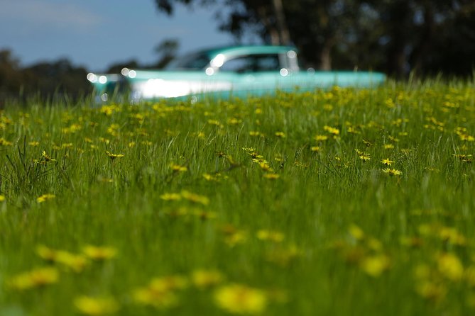 '56 Chevrolet 6-hr Yarra Valley Classic Car Private Tour (4 ppl) - Wine, champagne, beer, and gin