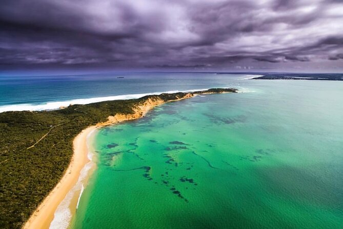 90 minute wildlife and scenic cruise - Is $53.79 good value for 90 minutes?