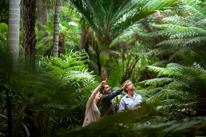 Aboriginal Heritage Walk - Royal Botanic Gardens Victoria, Melbourne Gardens - Key points to know before you go