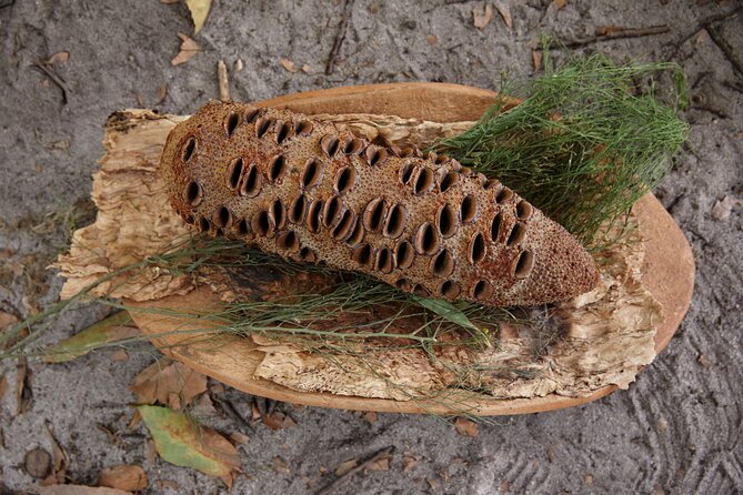 Aboriginal Heritage Walk - Royal Botanic Gardens Victoria, Melbourne Gardens - A walk through a beautiful garden