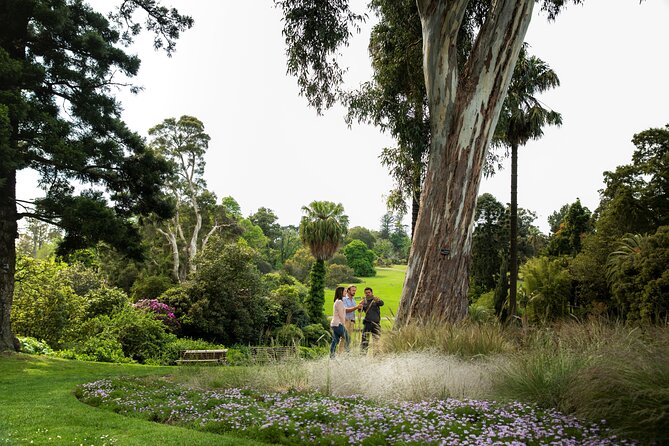 Aboriginal Heritage Walk - Royal Botanic Gardens Victoria, Melbourne Gardens - What the high rating tells you, and what to watch