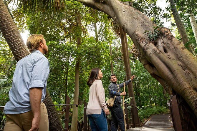 Aboriginal Heritage Walk - Royal Botanic Gardens Victoria, Melbourne Gardens - The guide makes the difference