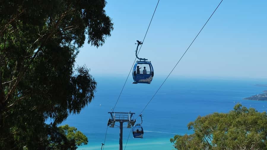 Arthurs Seat Eagle: Scenic Gondola Ride - Key points to know before you ride