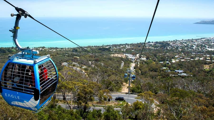 Arthurs Seat Eagle: Scenic Gondola Ride - What you can see from the cabin