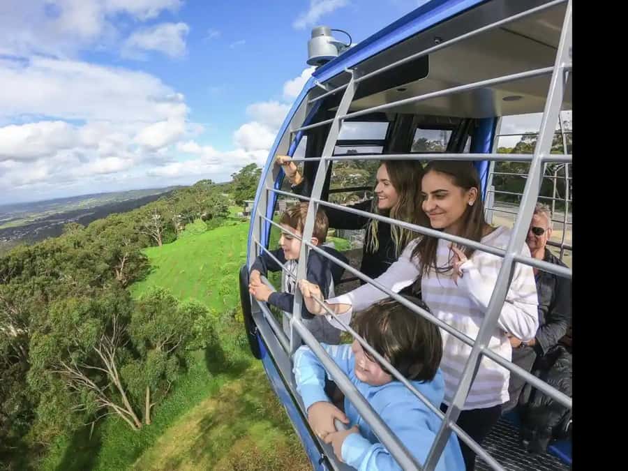 Arthurs Seat Eagle: Scenic Gondola Ride - From the base station to the Arthurs Seat summit