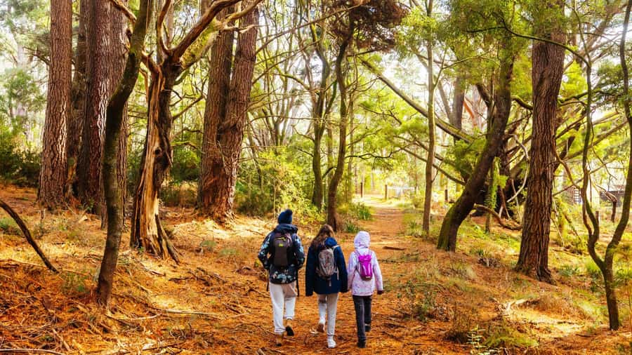 Best of Melbourne: Private Walking Tour with a Local - What the private format really gives you