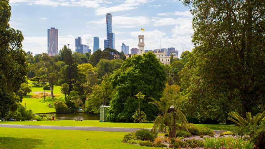 Best of Melbourne: Private Walking Tour with a Local - Should you book this Melbourne experience?