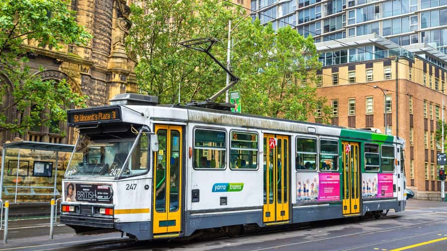 Best of Melbourne: Private Walking Tour with a Local - Melbourne’s laneways and street-art culture