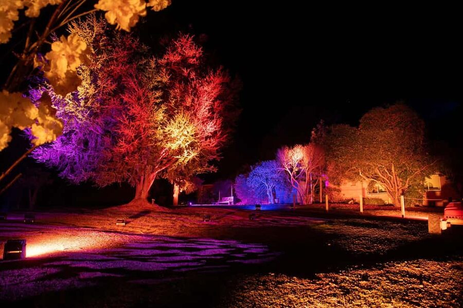 Blossom by Light at CherryHill - How the value works without included food