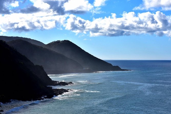 Boutique Great Ocean Road, wildlife and Rainforest Experience - Why this 12-hour day earns its place