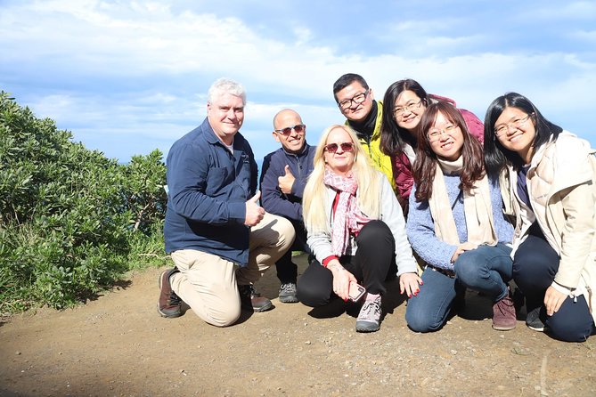 Boutique Great Ocean Road, wildlife and Rainforest Experience - The Twelve Apostles with time to look properly