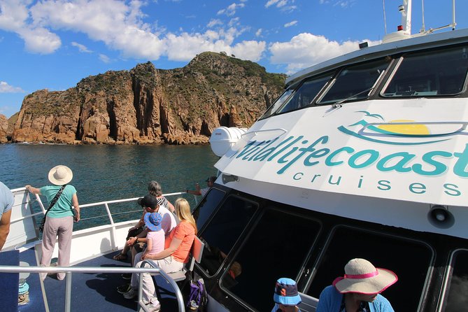Cape Woolamai Sightseeing Cruise from San Remo - San Remo is the right place to start