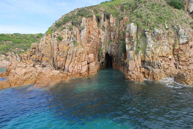 Cape Woolamai Sightseeing Cruise from San Remo - Tea, cake, and a family-friendly pace