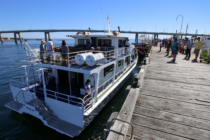 Cape Woolamai Sightseeing Cruise from San Remo - What the $35.14 price delivers