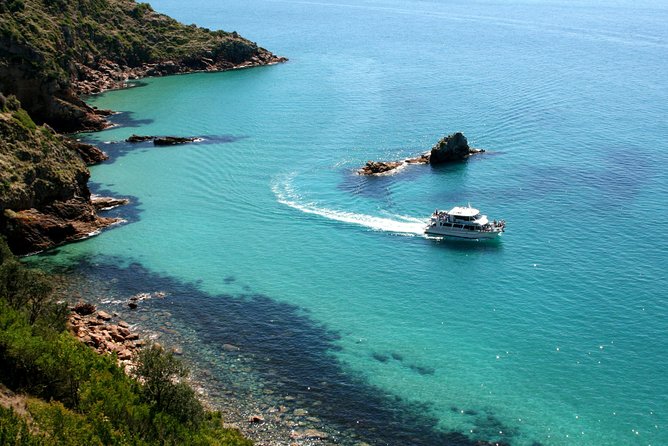 Cape Woolamai Sightseeing Cruise from San Remo - Timing, weather, and practical details