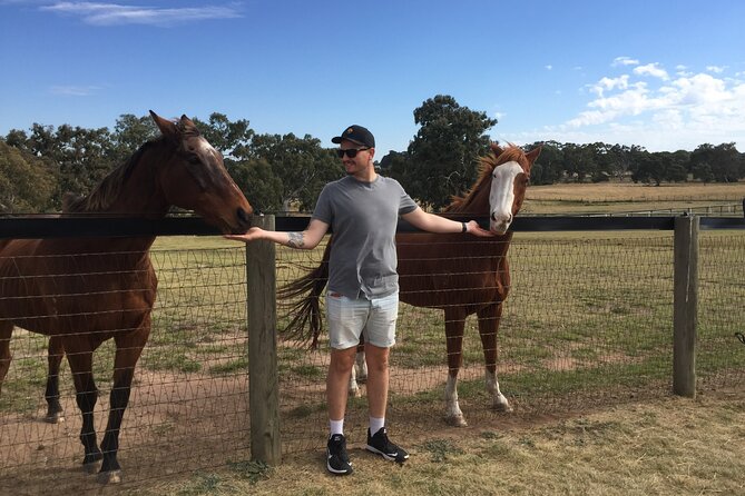 Champion Racehorse Tour with Beer and Wine Tasting - Key things to know before booking