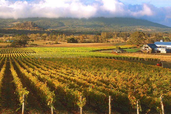 Champion Racehorse Tour with Beer and Wine Tasting - Why this day trip works so well from Melbourne
