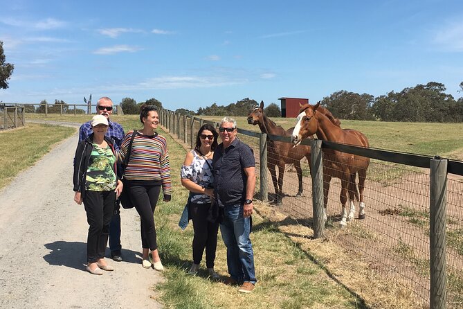 Champion Racehorse Tour with Beer and Wine Tasting - Macedon Ranges wine with Hanging Rock views