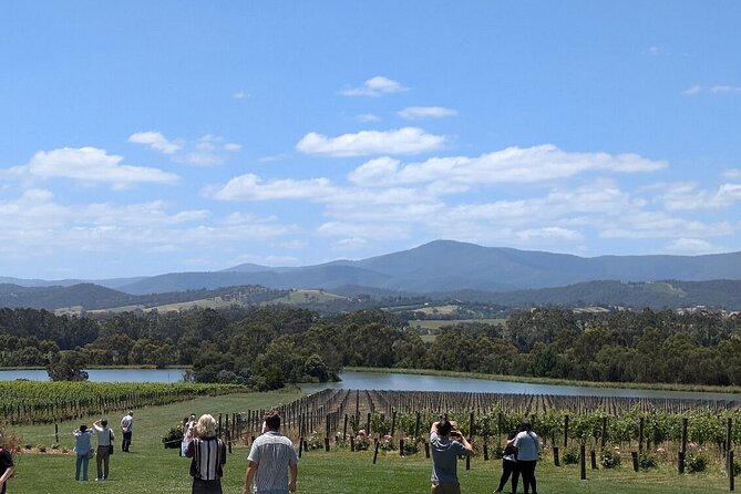Cruise Ship Friendly Yarra Valley Wine Tour with Port Pickup - Key points to know before booking