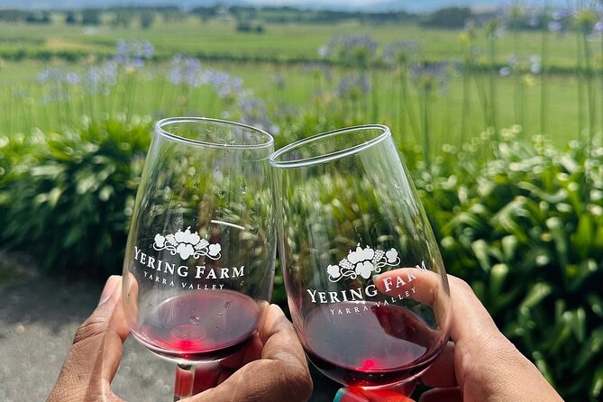Cruise Ship Friendly Yarra Valley Wine Tour with Port Pickup - A wine day built around conversation