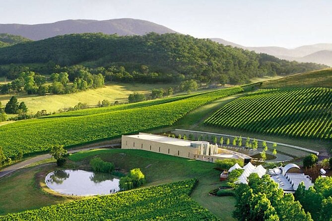 Customized private winery day tour in Yarra Valley at your own choices - What the eight-hour route feels like