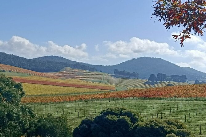 Customized private winery day tour in Yarra Valley at your own choices - Price, group size, and real value