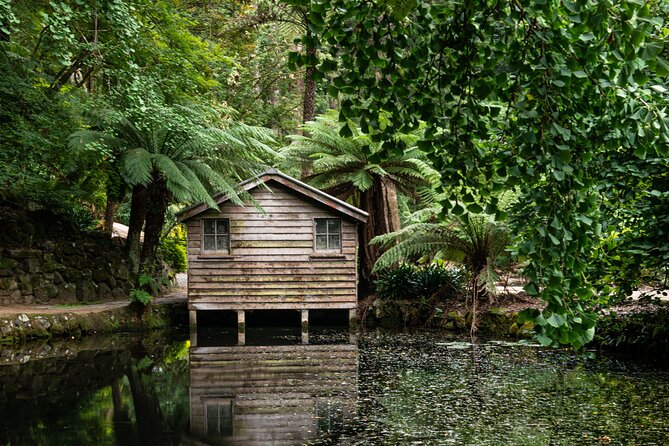 Dandenong Ranges Private Day Tour - Lunch in Kallista, with time to slow down