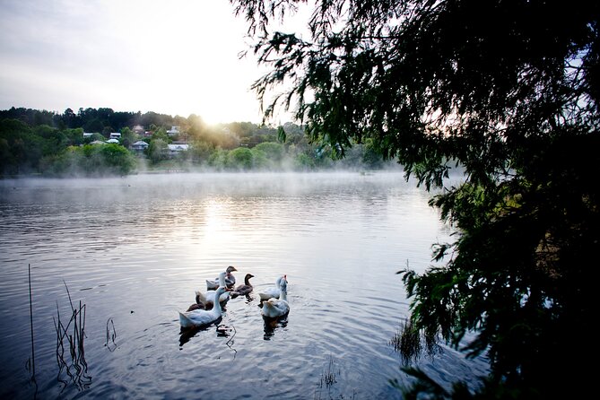 Daylesford Goldfields Track Walking and Wellness Experience - Why this Goldfields trip feels different