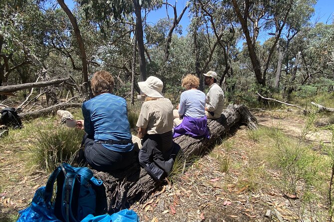Daylesford Goldfields Track Walking and Wellness Experience - Is the $1,900.69 price good value?
