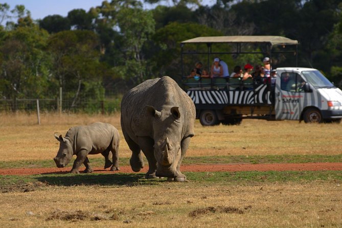 Deluxe Safari Adventure at Werribee Open Range Zoo - excl. entry - Starting at Werribee South