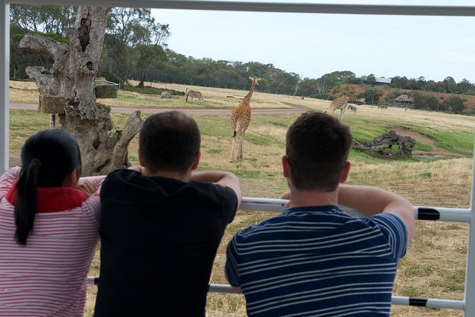Deluxe Safari Adventure at Werribee Open Range Zoo - excl. entry - Weather, animal welfare and what to bring