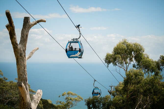 Depart Peninsula: Mornington Wine & Hot Springs Tour with Lunch - At a glance