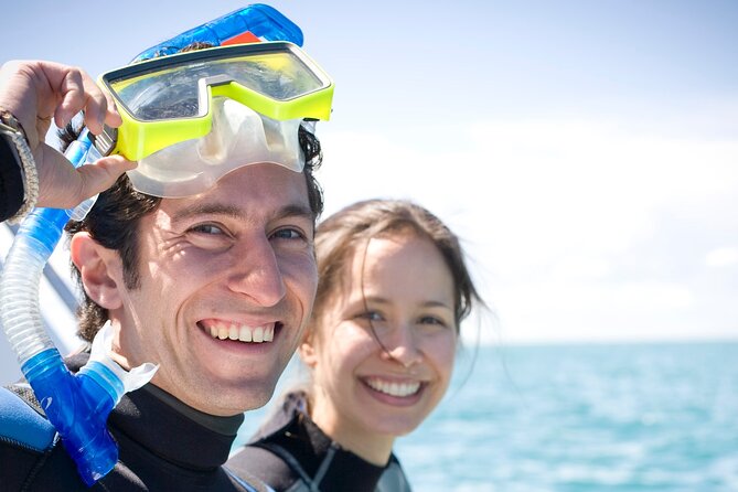 Dolphin and Seal snorkel adventure from Sorrento - Weather, comfort, and the practical details