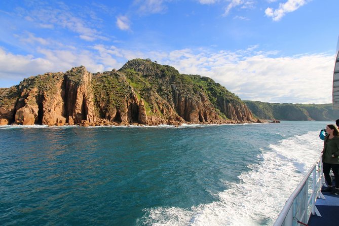 Dolphin & Whale Cruise - The price and what you receive