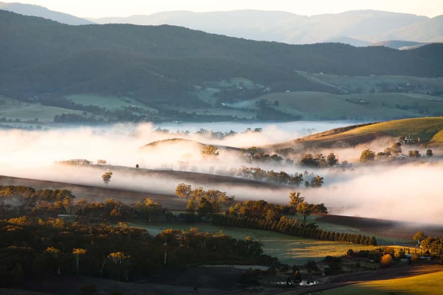 Experience Yarra Valley: A Tailored private Wine Journey - Key points at a glance