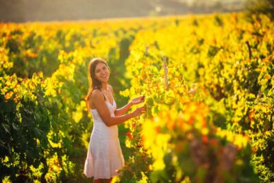 Experience Yarra Valley: A Tailored private Wine Journey