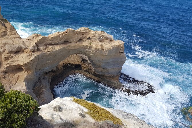 Express Twelve Apostles Day Trip from Melbourne - Private transport and what that really means