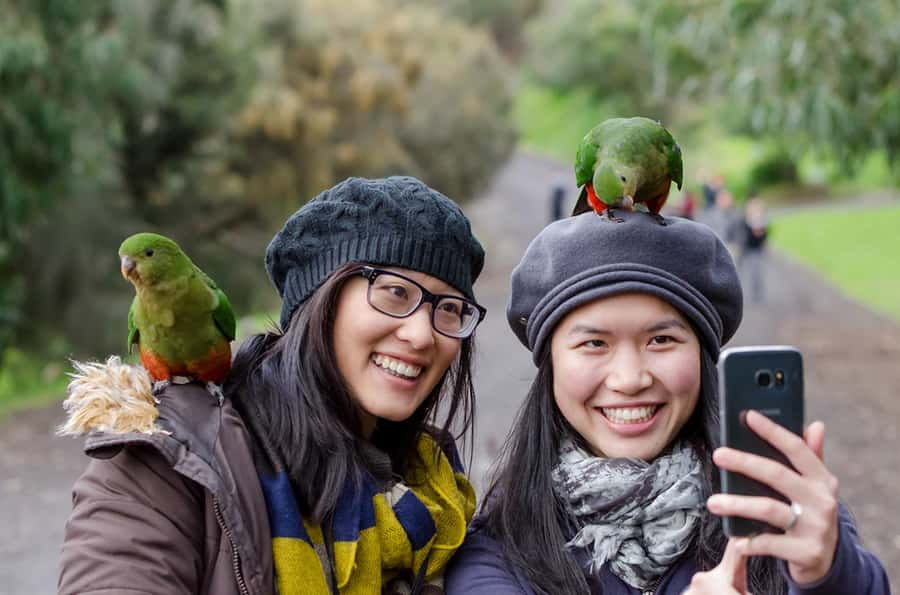 From Melbourne: 3-Day Great Ocean Road Grampians Tour - FAQ